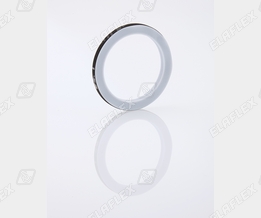 TWD-TM coupling seal