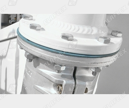 Hose Assemblies with Flange - Elapac seals