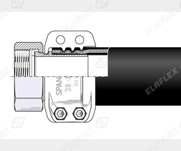 MC38-1 1-2 SS Schnitt