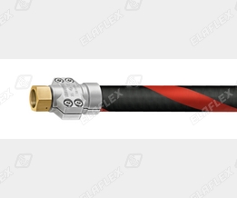 MS25-1 Ms SS cgi