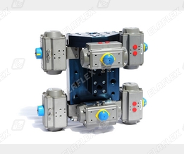 Oasis PM104 Priority Panel / Manifold, for CNG